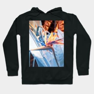 Strelitzia in Infrared Hoodie